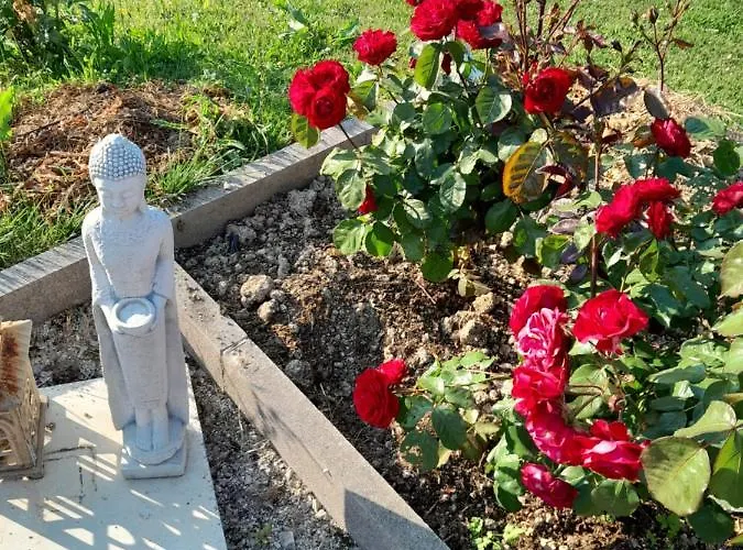 Gite de l'Aujon et Gîte du capitaine