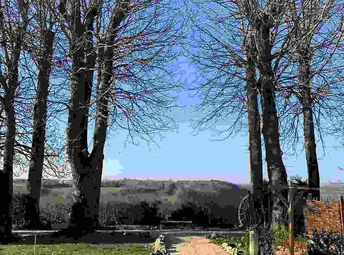 La Flavignienne